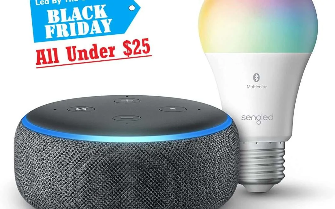 The Best 2023 Black Friday Deals under $25